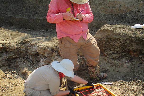 <a href='http://2rj.discountsharinghk.com'>bv伟德ios下载</a>学生在麦卡尔哈尼采石场测绘三角龙骨骼.